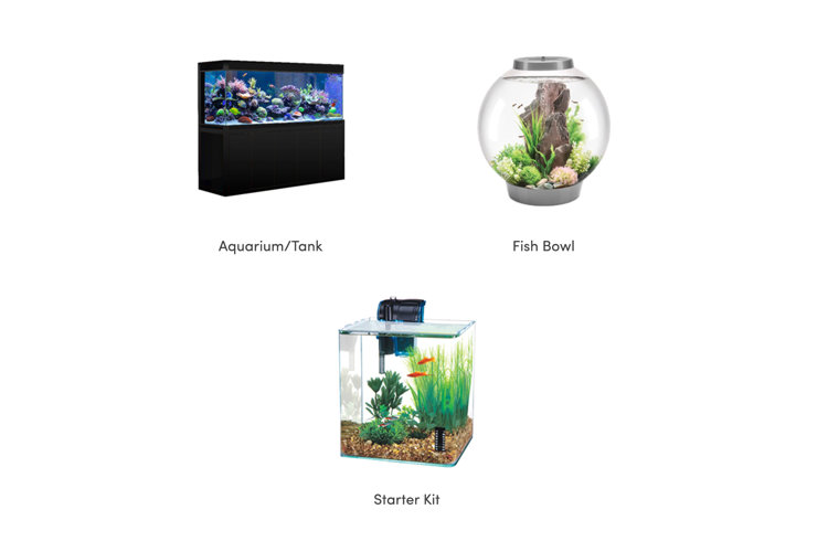 Fish Tank Sizes & Types: How to Choose the Right Aquarium | Wayfair - Fish Tank Sizes Available